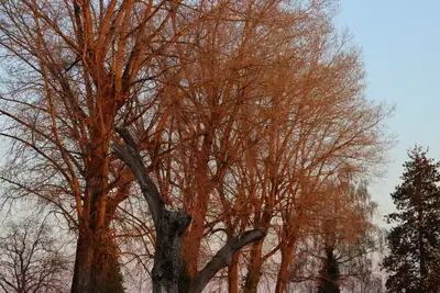 Gfenn, Landschaft: Foto 26 von Josef Hupf