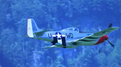 Luftfahrt, Propeller: Foto 52 von Josef Hupf