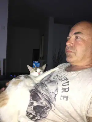 Tiere & Natur, Katzen: Foto 126 von Josef Hupf