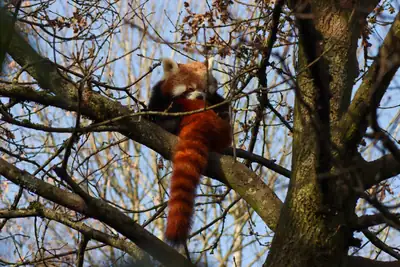 Tiere & Natur, Zoobesuch 2020: Foto 24 von Josef Hupf