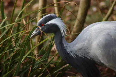 Tiere & Natur, Zoobesuch 2020: Foto 50 von Josef Hupf